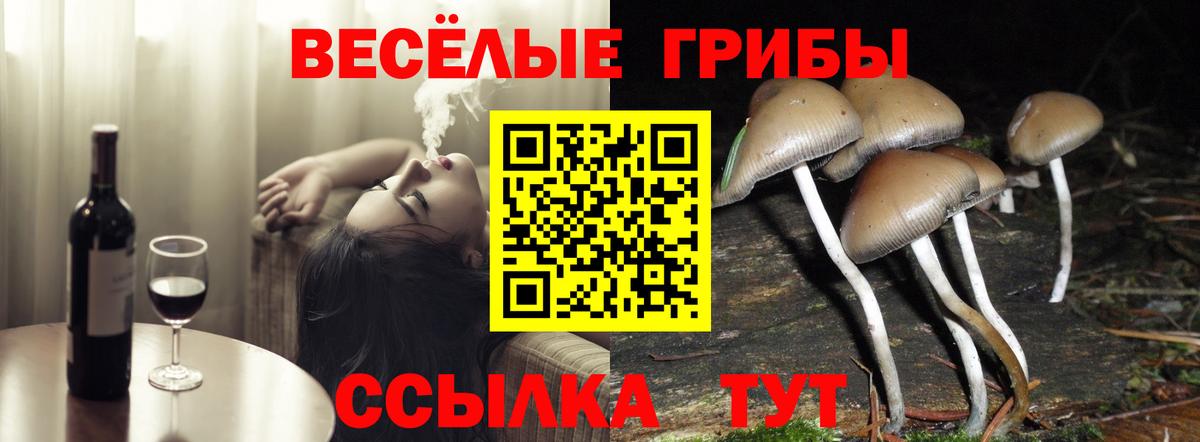 Псилоцибиновые грибы ЛСД Арзамас